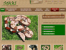 Tablet Screenshot of boaconstrictor.de